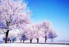 انشا زیبایی های فصل زمستان